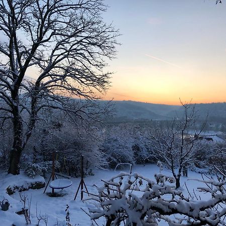 Ueber Den Daechern Von Koblenz - Aussichts-Wohnung Naturpark Rheinblick, Ruhig, Zentrumsnah, Sport-Pool 외부 사진