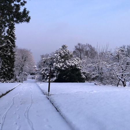 Ueber Den Daechern Von Koblenz - Aussichts-Wohnung Naturpark Rheinblick, Ruhig, Zentrumsnah, Sport-Pool 외부 사진