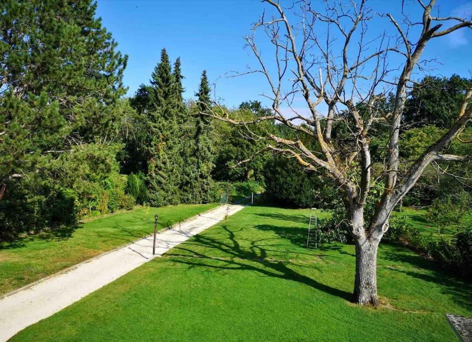 Ueber Den Daechern Von Koblenz - Aussichts-Wohnung Naturpark Rheinblick, Ruhig, Zentrumsnah, Sport-Pool 외부 사진