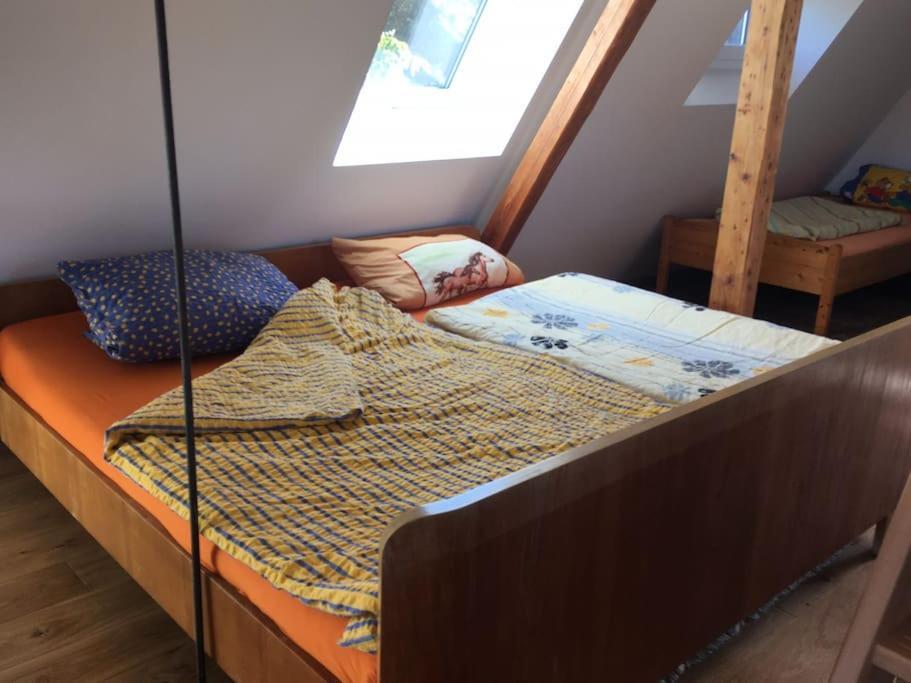 Ueber Den Daechern Von Koblenz - Aussichts-Wohnung Naturpark Rheinblick, Ruhig, Zentrumsnah, Sport-Pool 외부 사진