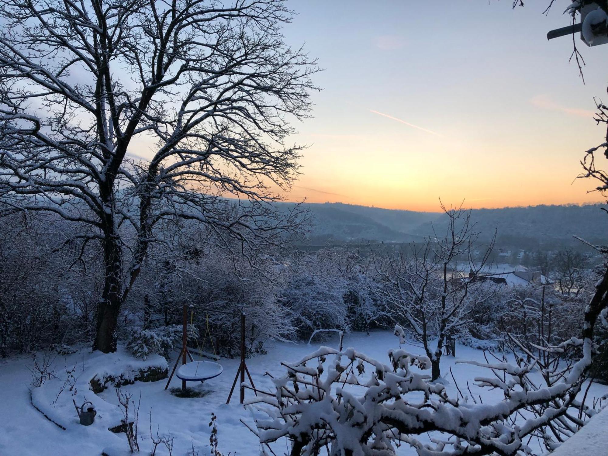 Ueber Den Daechern Von Koblenz - Aussichts-Wohnung Naturpark Rheinblick, Ruhig, Zentrumsnah, Sport-Pool 외부 사진
